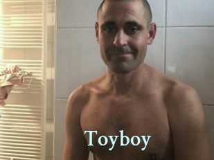 Toyboy