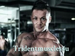Tridentmuscles4u