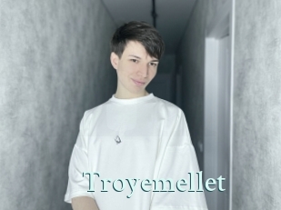 troyemellet Ambiance Gay