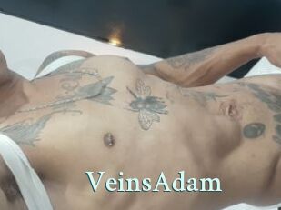 VeinsAdam