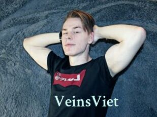 VeinsViet