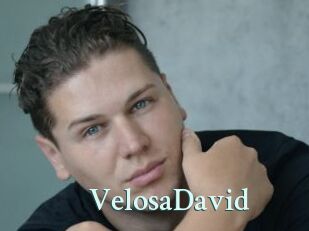 VelosaDavid