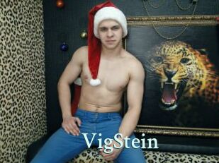 VigStein