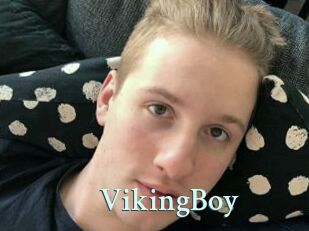 VikingBoy