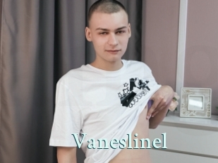 Vaneslinel