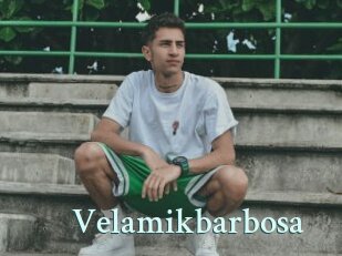 Velamikbarbosa