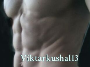 Viktarkushal13