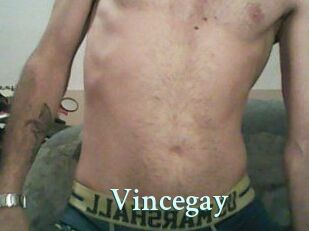 Vincegay