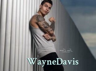 WayneDavis