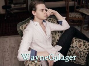 WayneGalager