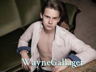 WayneGallager