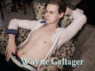 Wayne_Gallager