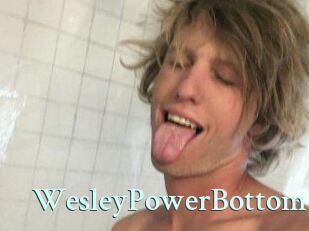 Wesley_PowerBottom