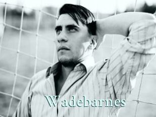 Wadebarnes