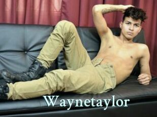 Waynetaylor