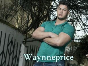 Waynneprice
