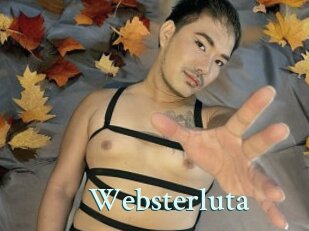 Websterluta