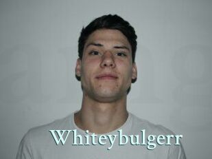 Whitey_bulgerr