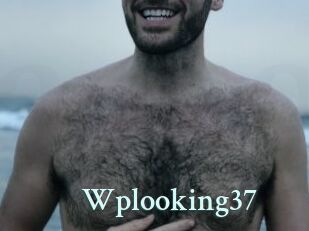 Wplooking37
