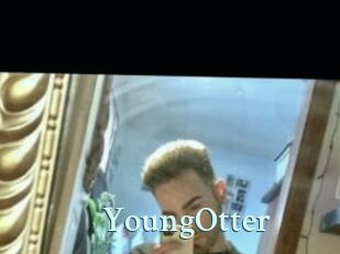 YoungOtter