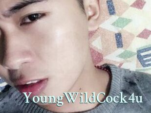 YoungWildCock4u