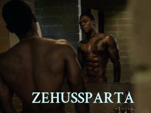 ZEHUS_SPARTA